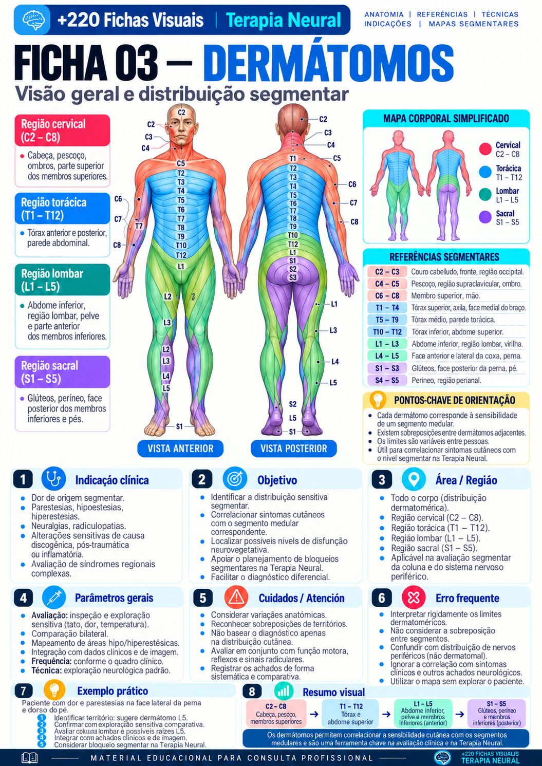 Dermatomas