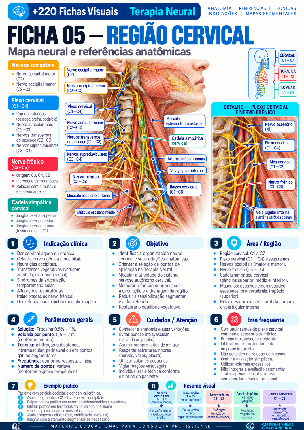 Região cervical