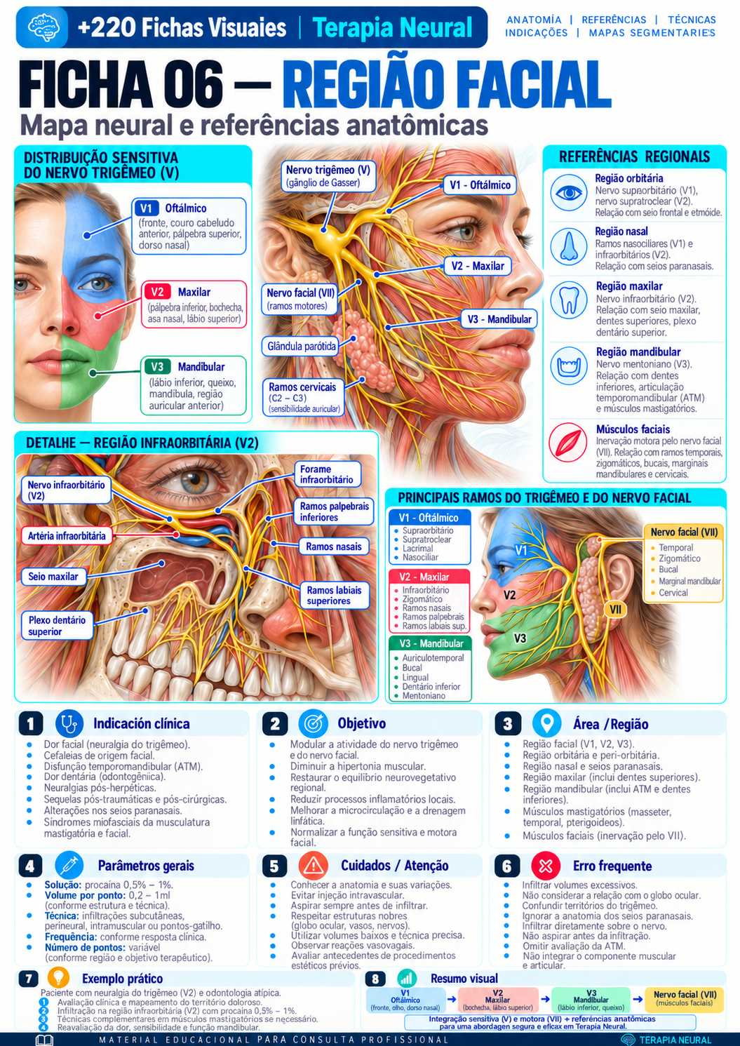 Região facial