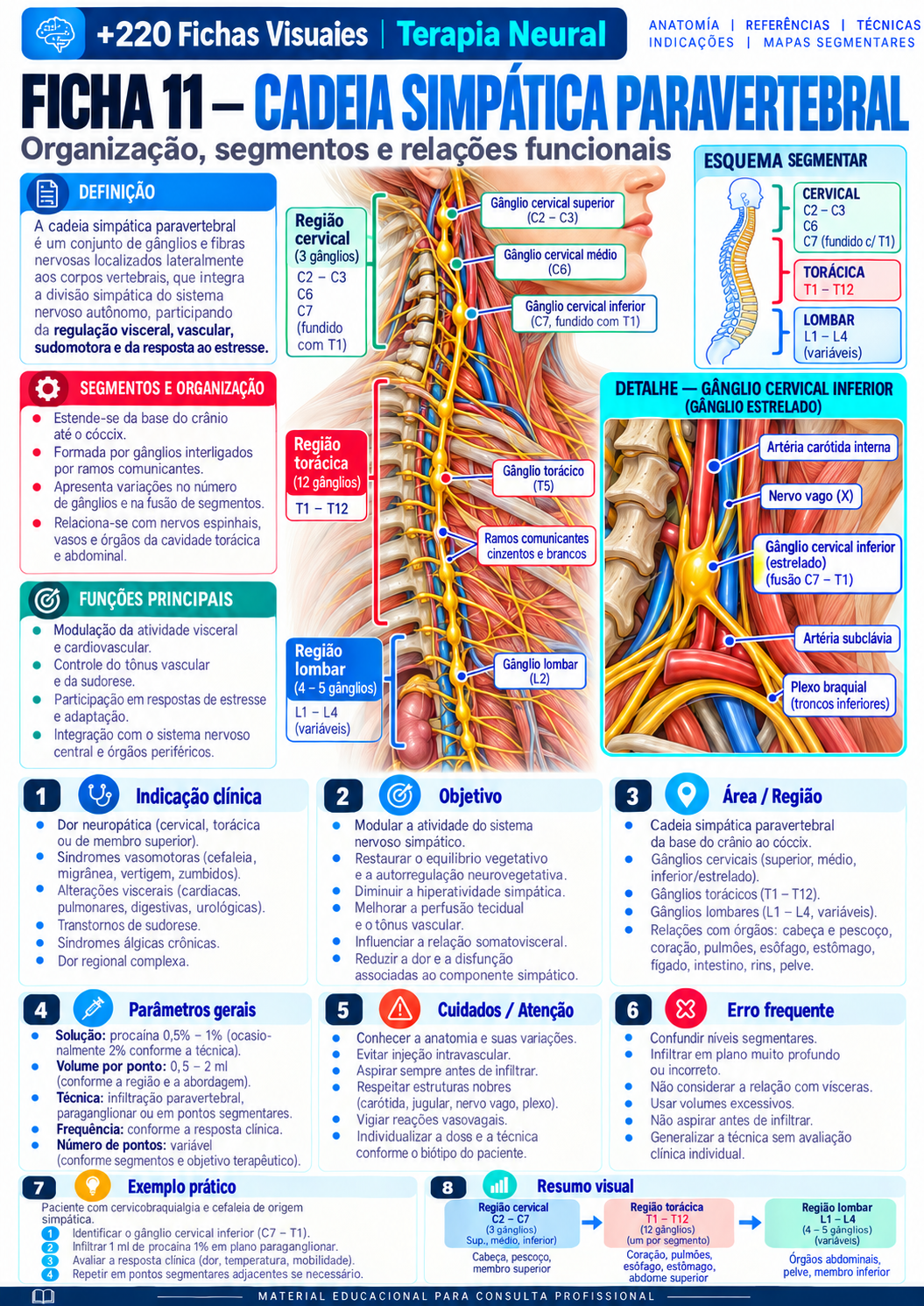 Cadeia simpática paravertebral