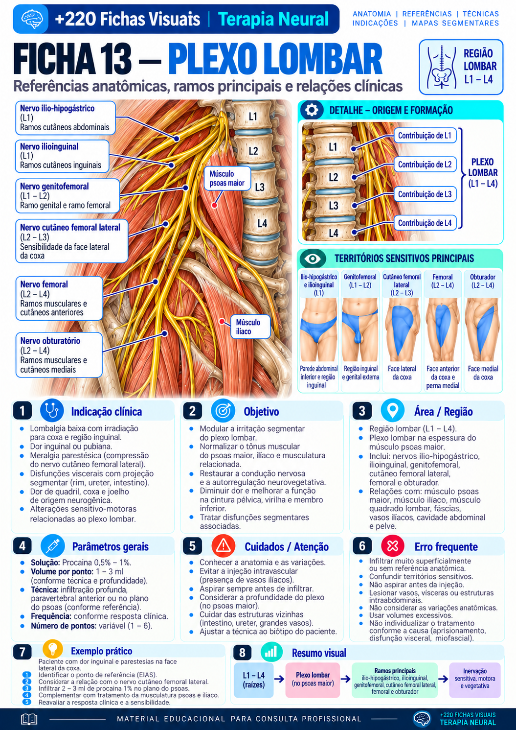 Plexo lumbar
