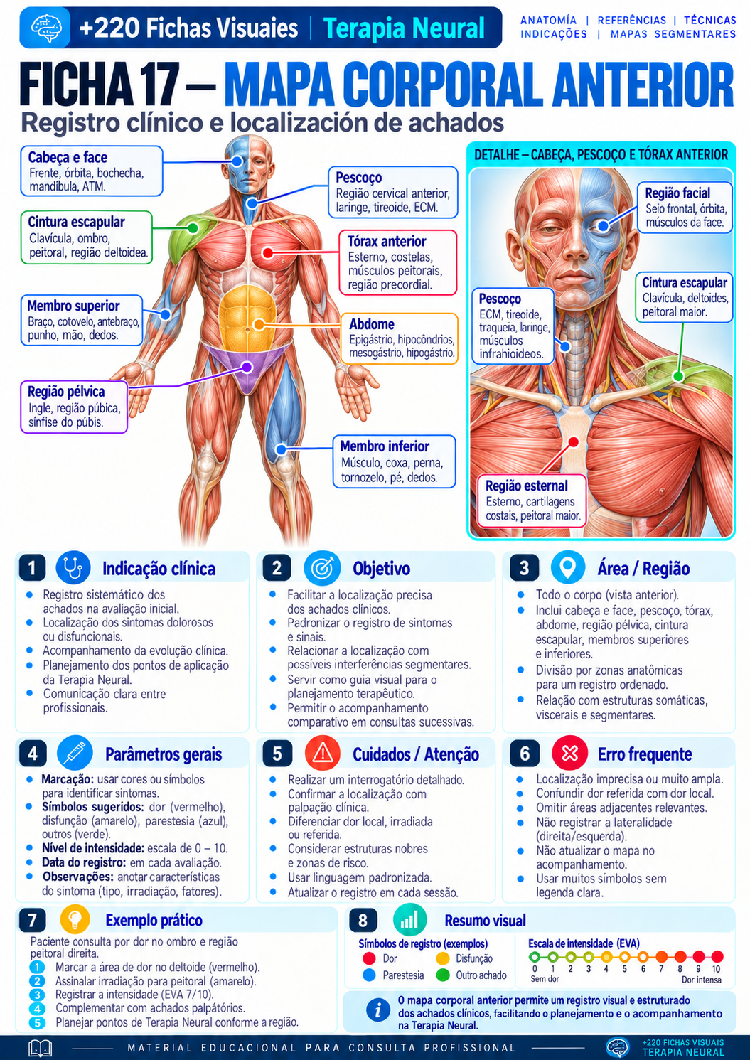 Mapa corporal anterior