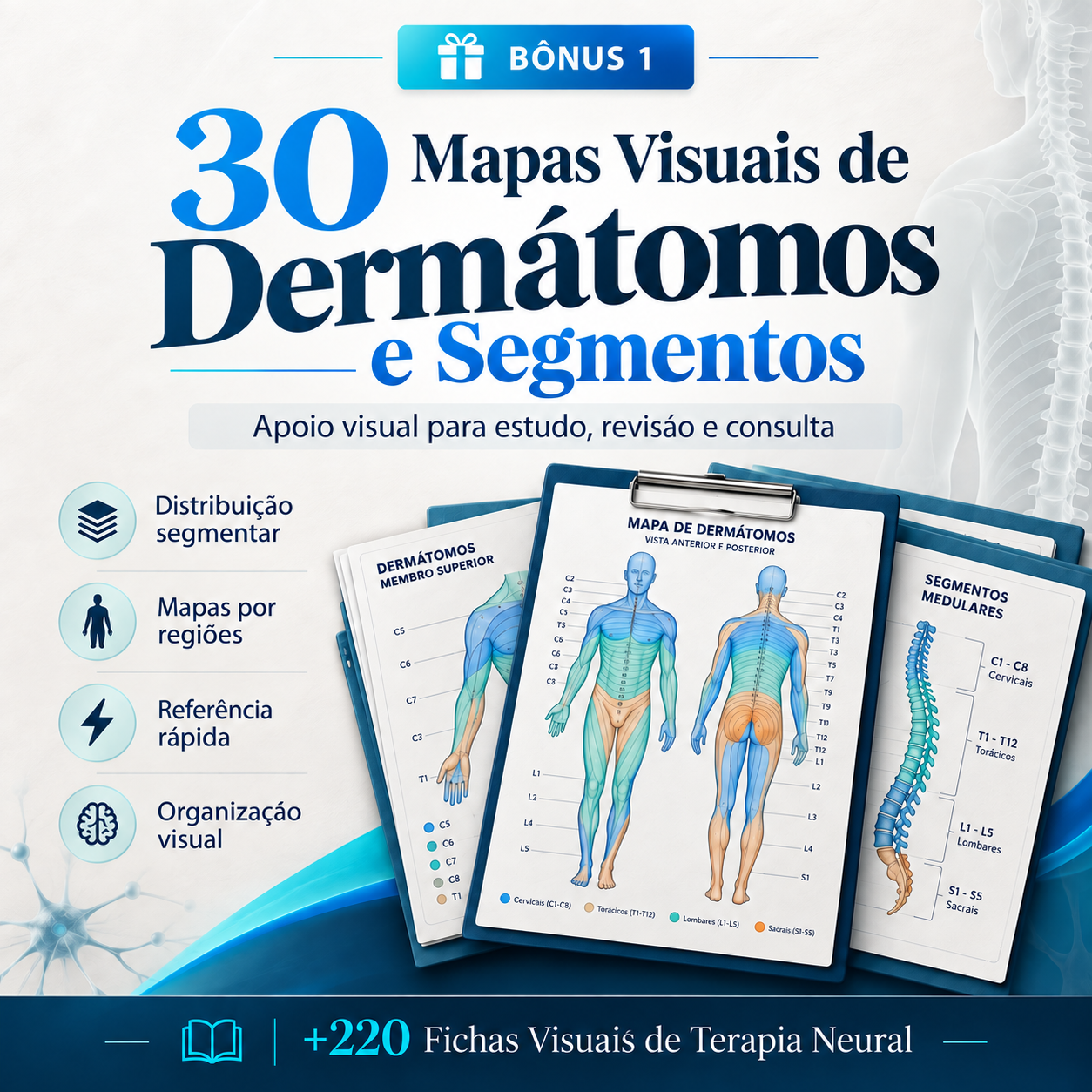Mapas Visuais de Dermátomos e Segmentos